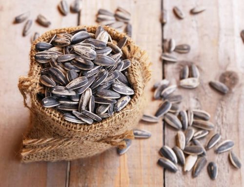 These 10 Foods Have the Highest Antioxidant Levels