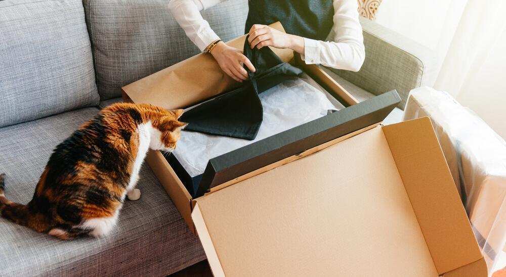 Woman opening box with clothes and cat looking in too